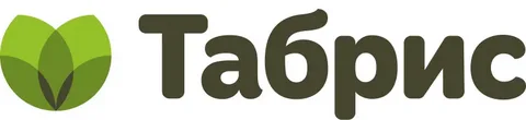 Табрис